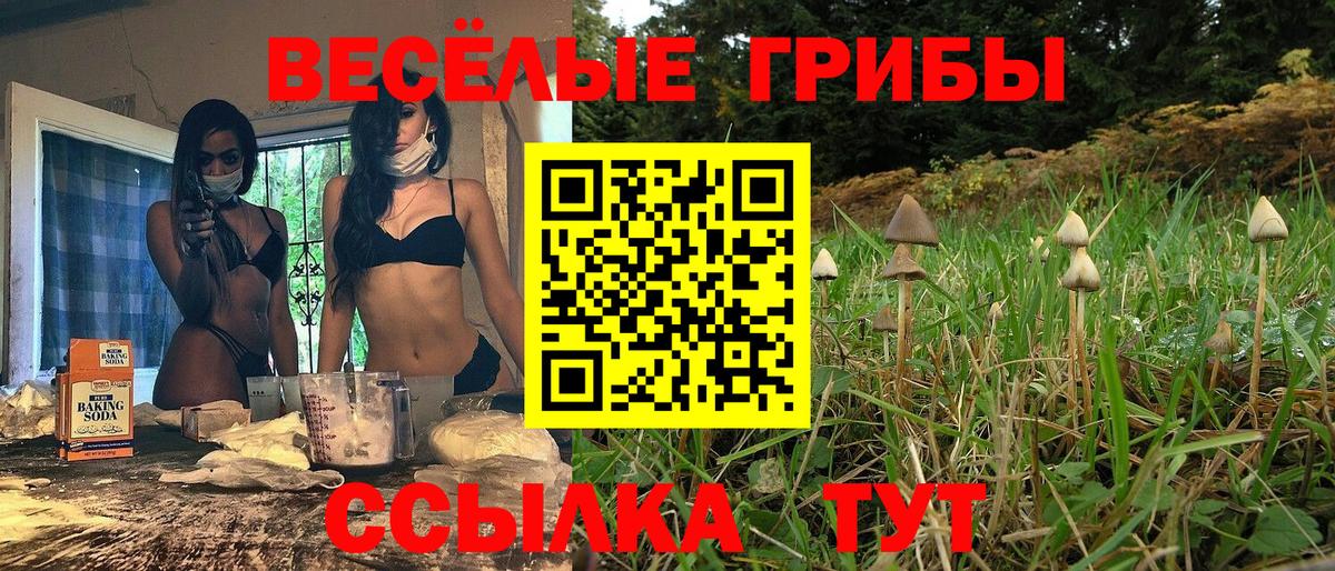 Галлюциногенные грибы Cubensis  Вход с VPN  Джанкой 